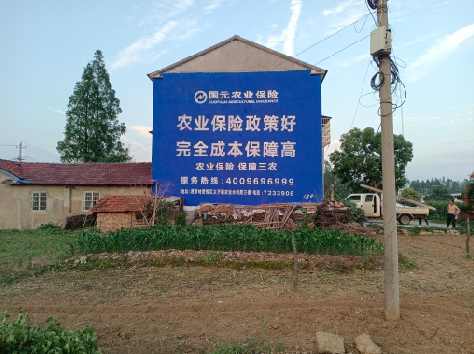 元阳墙体广告的优劣势你知道吗?